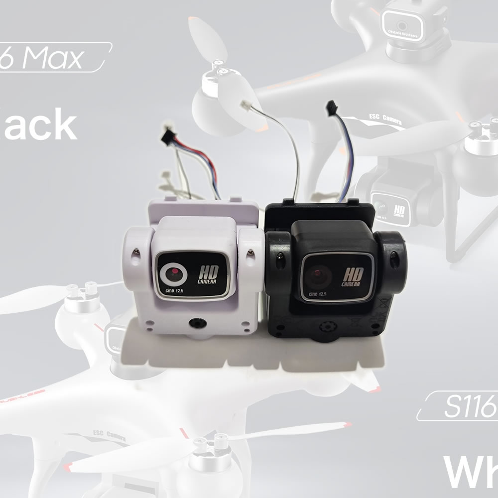 S116 PRO MAX Brushless Motor R - đánh giá và giá Drone Rc S116